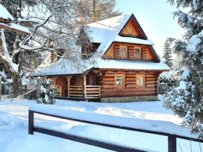 Domek Góralski Bliźniak Szałas Michalików Skibówki by RentiloPL, Zakopane